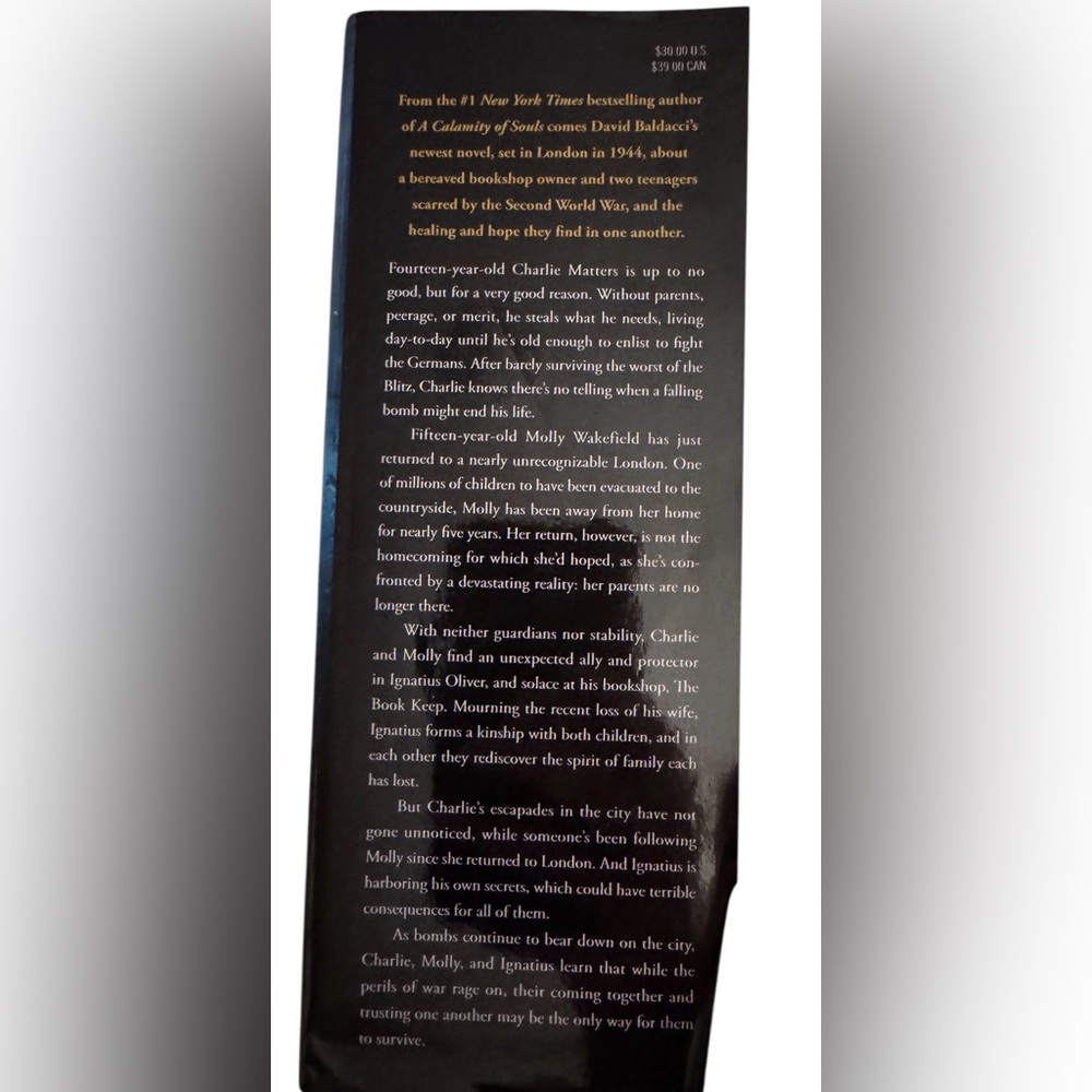 DAVID BALDACCI STRANGERS IN TIME - Picture 3 of 6